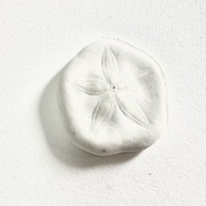 画像4: ★長野まゆみ新作！函ノ森文庫通信002セット