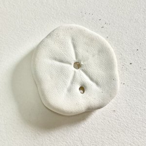 画像5: ★長野まゆみ新作！函ノ森文庫通信002セット