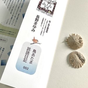 画像1: ★長野まゆみ新作！函ノ森文庫通信002セット