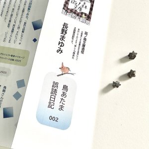 画像1: ★長野まゆみ新作！函ノ森文庫通信002セット