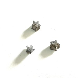 画像4: ★長野まゆみ新作！函ノ森文庫通信002セット