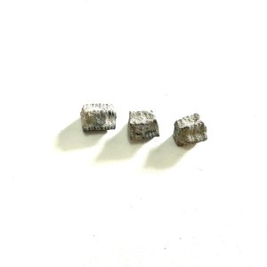 画像5: ★長野まゆみ新作！函ノ森文庫通信002セット