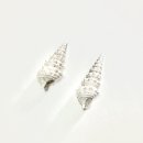 画像: 弊社通信販売部からお知らせ★受注開始日について
