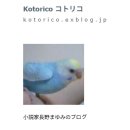 画像: 長野まゆみのblog「コトリコ」につきまして