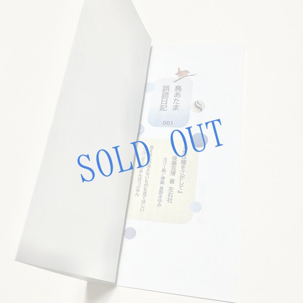 画像3: 長野まゆみ新作★「函ノ森文庫通信」セット