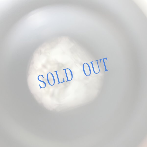 画像5: 長野まゆみ新作★「函ノ森文庫通信」セット