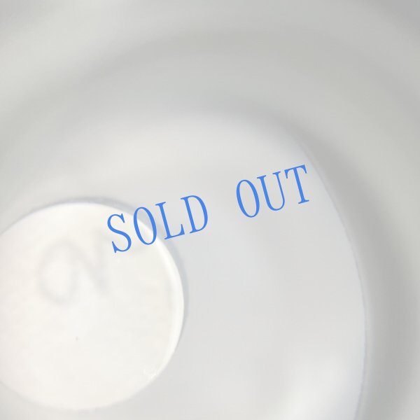 画像6: 長野まゆみ新作★「函ノ森文庫通信」セット