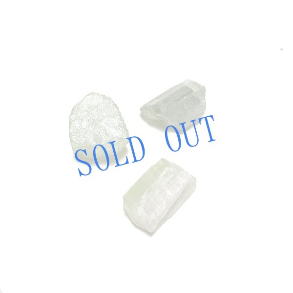 画像5: 長野まゆみ新作★「函ノ森文庫通信」セット