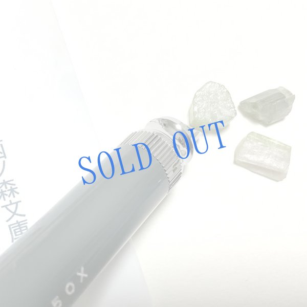 画像6: 長野まゆみ新作★「函ノ森文庫通信」セット