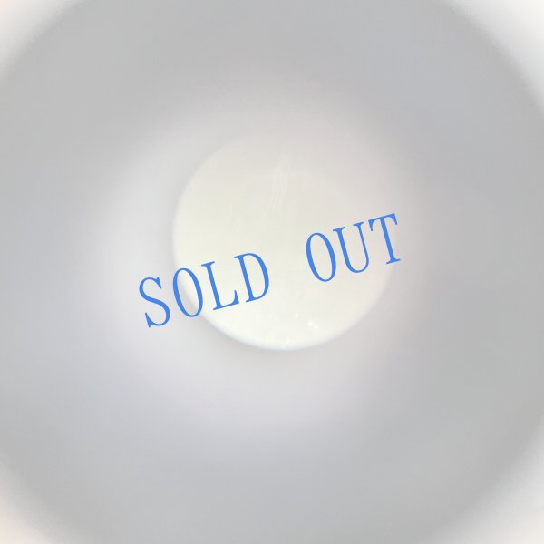 画像7: 長野まゆみ新作★「函ノ森文庫通信」セット