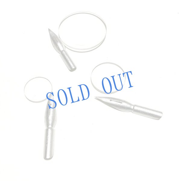 画像5: 長野まゆみ新作★「函ノ森文庫通信」セット