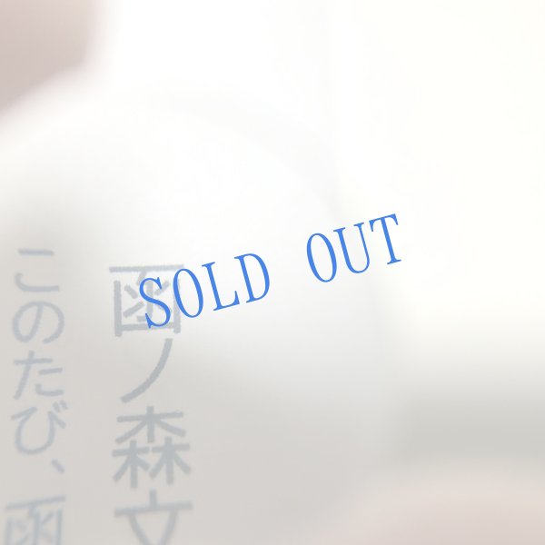 画像6: 長野まゆみ新作★「函ノ森文庫通信」セット