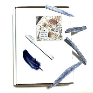 画像: ★「少年電氣食堂2023 秋」標本セット