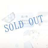 画像: ★「函ノ森　夏」標本セット
