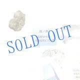 画像: ★「函ノ森　夏」標本セット