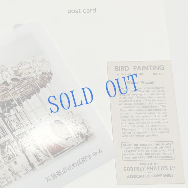 画像4: ★寒中おみまい・小鳥カード