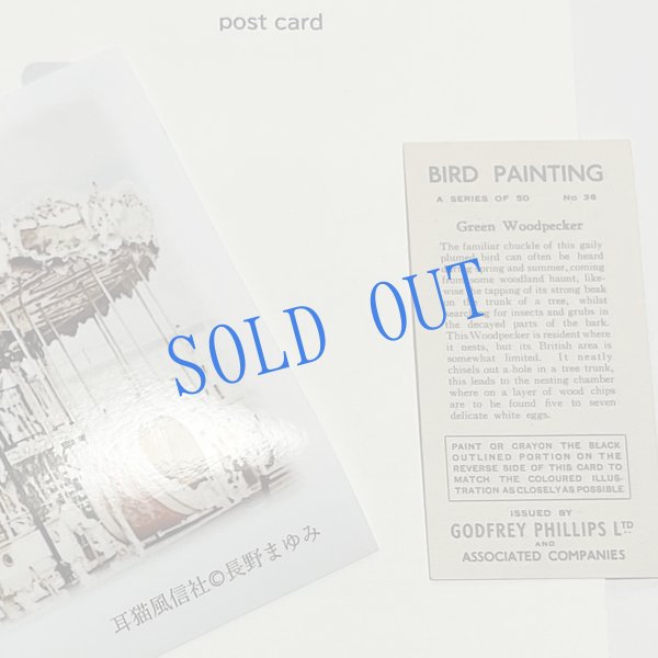 画像4: ★寒中おみまい・小鳥カード