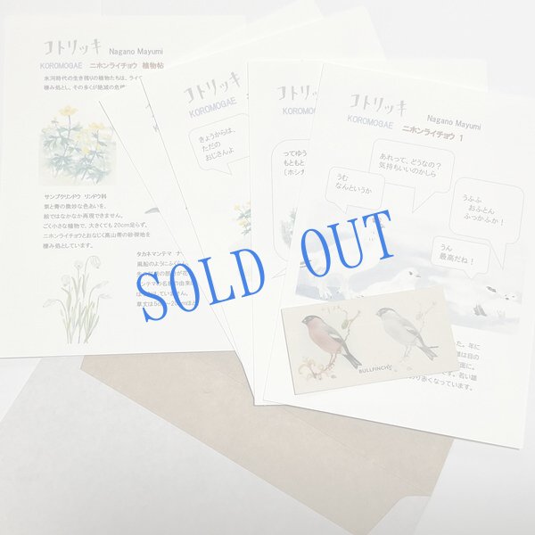 画像1: ★KOROMOGAE篇二ホンライチョウ