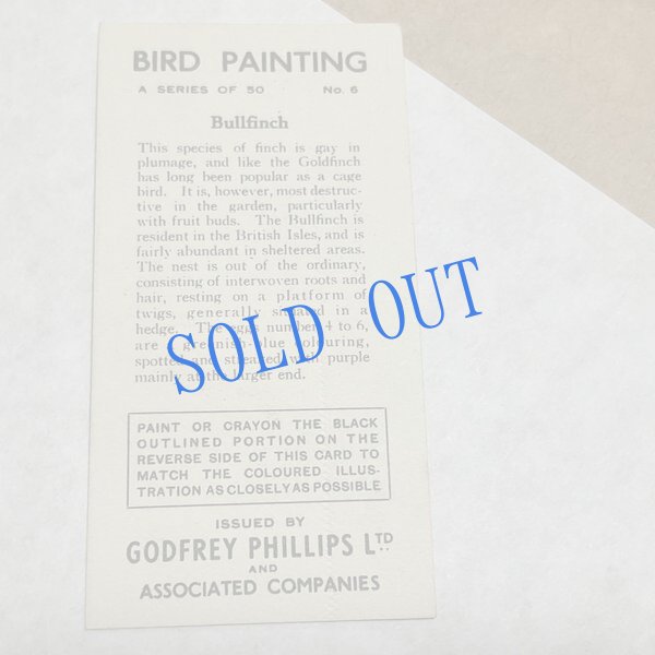 画像3: ★KOROMOGAE篇二ホンライチョウ