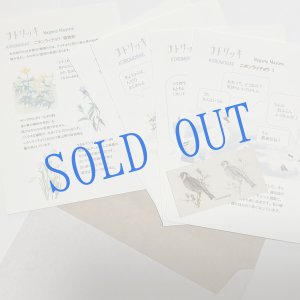 画像: ★KOROMOGAE篇二ホンライチョウ