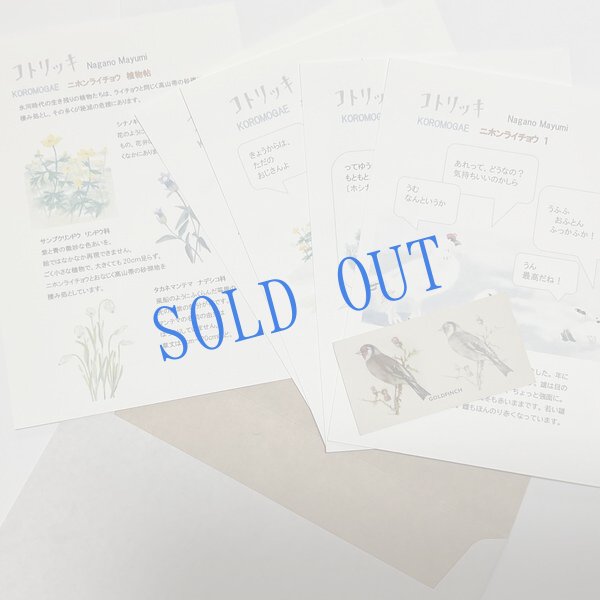 画像1: ★KOROMOGAE篇二ホンライチョウ