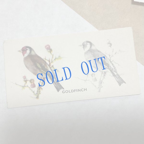 画像3: ★KOROMOGAE篇二ホンライチョウ