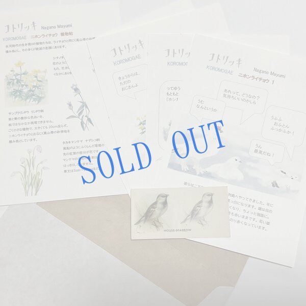 画像1: ★KOROMOGAE篇二ホンライチョウ