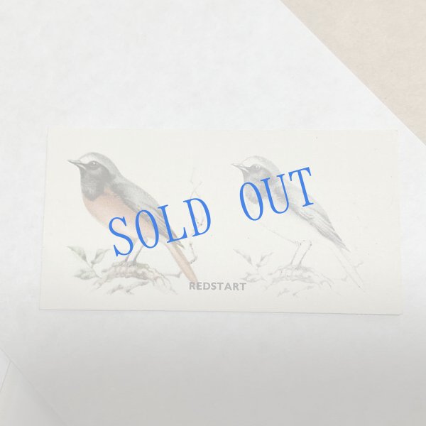 画像3: ★KOROMOGAE篇二ホンライチョウ