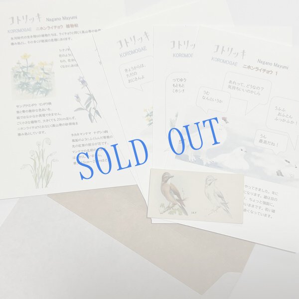 画像1: ★KOROMOGAE篇二ホンライチョウ