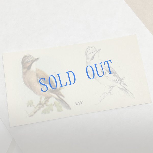 画像3: ★KOROMOGAE篇二ホンライチョウ