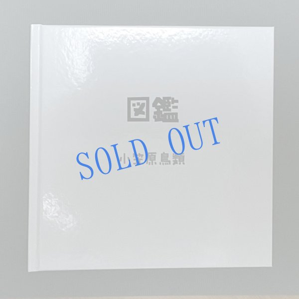 画像3: ★帯文/長野まゆみ・小笠原鳥類/著「図鑑」Aset