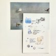 画像1: ★「函ノ森　夏」（2025年）標本セット