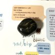 画像2: ★新作「お菓子な猫のお菓子手帖」