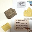 画像4: ★「お菓子な猫のお菓子手帖」