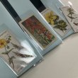 画像3: ★航海案内書《小さな板》セット