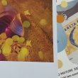 画像4: 新作★函ノ森 Late Summerセット