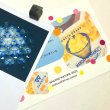 画像1: 新作★函ノ森 Late Summerセット