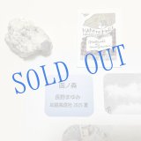 画像: ★「函ノ森　夏」標本セット
