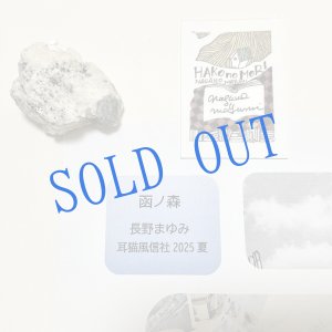 画像: ★「函ノ森　夏」標本セット
