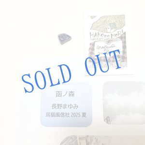 画像: ★「函ノ森　夏」標本セット