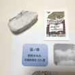画像3: ★「函ノ森　夏」標本セット