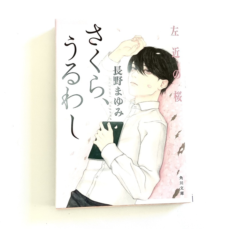 画像4: ★寒中おみまい「左近の桜series」文庫・レジュメセット