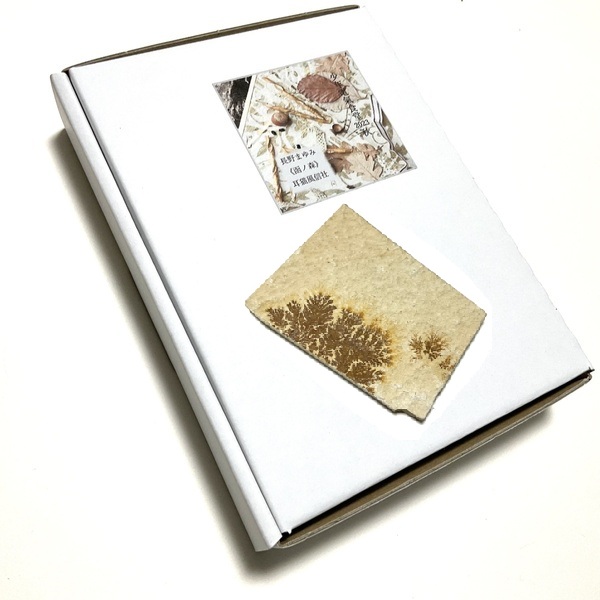 画像1: ★「少年電氣食堂2023 秋」標本セット