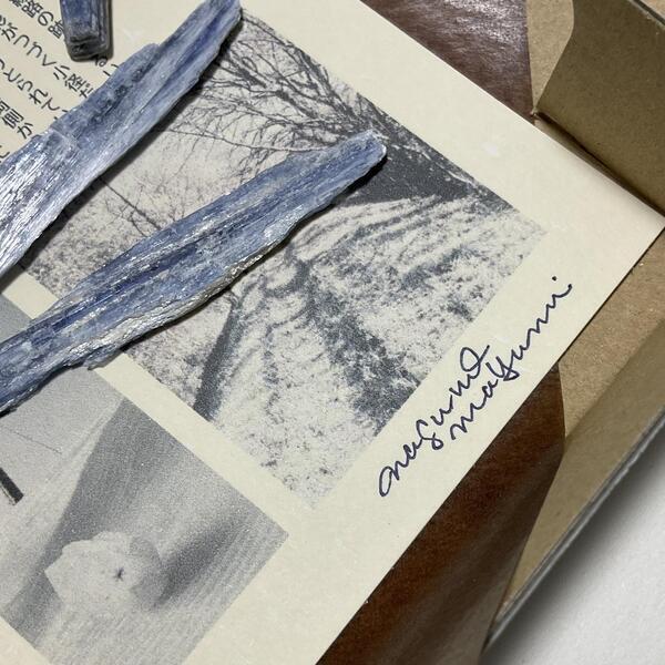 画像4: ★「少年電氣食堂2023 秋」標本セット