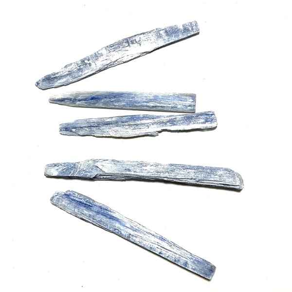 画像: ★「少年電氣食堂2023 秋」標本セット