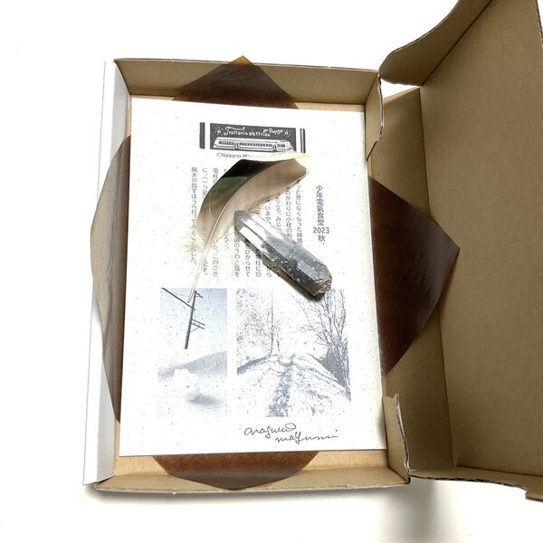 画像2: ★「少年電氣食堂2023 秋」標本セット