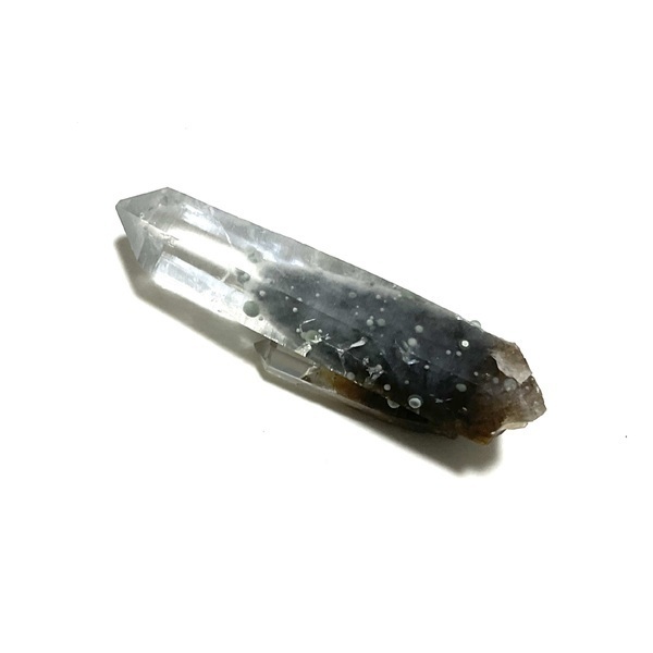 画像: ★「少年電氣食堂2023 秋」標本セット