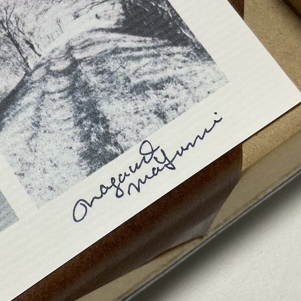 画像: ★「少年電氣食堂2023 秋」標本セット