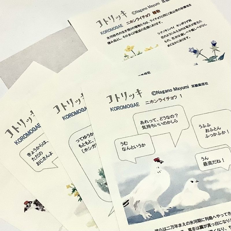 画像: ★KOROMOGAE篇二ホンライチョウ