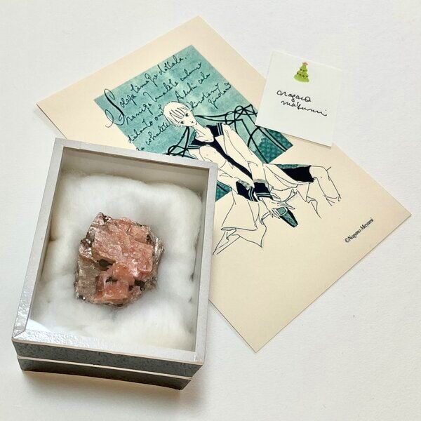 画像: 長野まゆみイラストカード（少年）＆鉱石標本